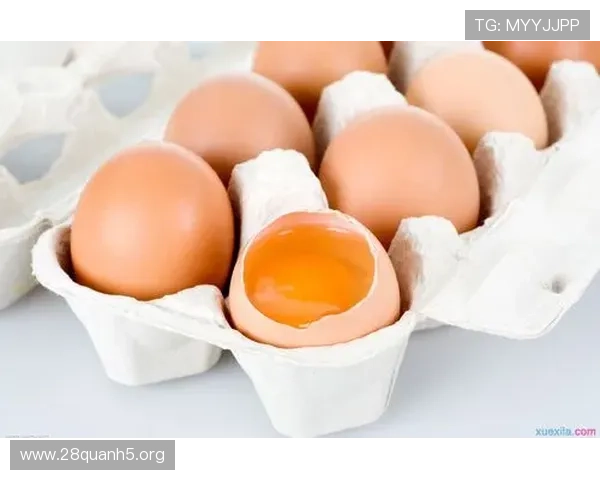 南宫ng娱乐官网优惠活动周期及参与方式全方位解析 南宫ng娱乐官网优惠活动周期及参与方式全方位解析