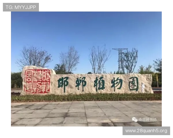 南宫旗下平台未来发展规划：持续创新引领行业潮流的战略布局