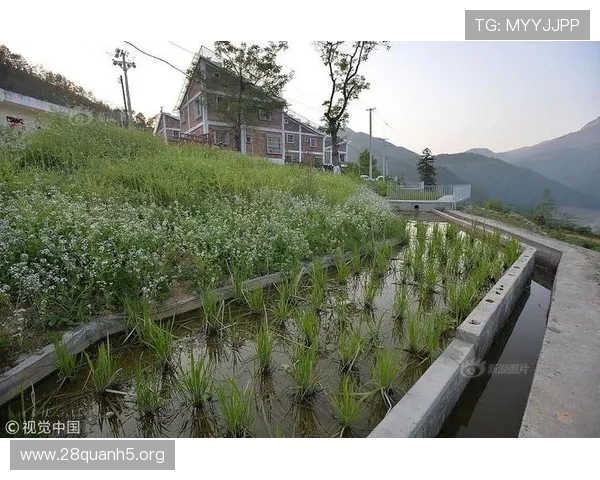 如何辨别优质快三彩票平台，避免虚假平台带来的财产损失