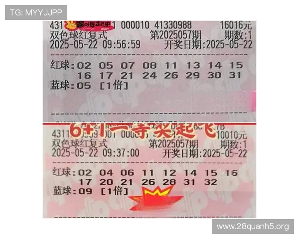 如何查看北京pk10开奖结果历史记录，掌握往期数据助你制定投注策略