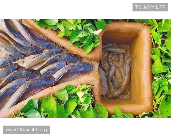 掌握PA捕鱼技巧提升你的游戏胜率让你成为捕鱼高手